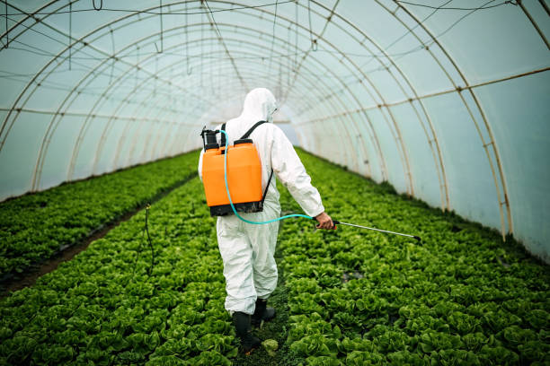 Best Pest Inspection Near Me  in Santa Clara, NM