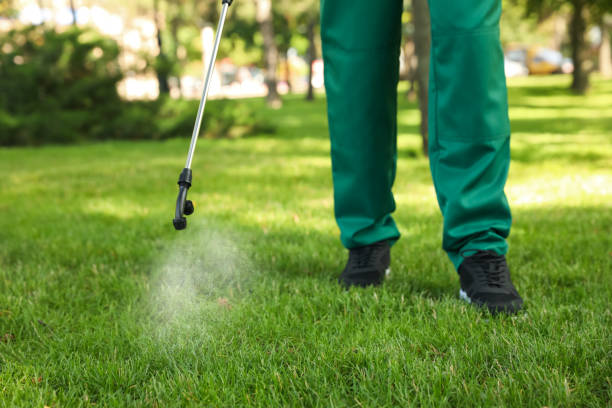 Best Mosquito Control Services  in Santa Clara, NM