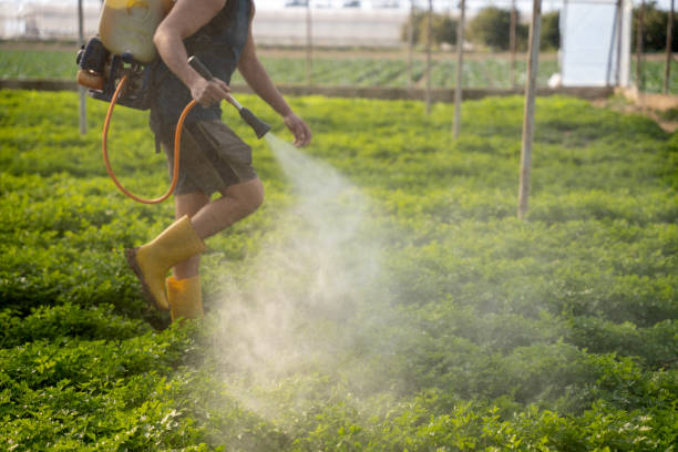 Best Residential Pest Control  in Santa Clara, NM