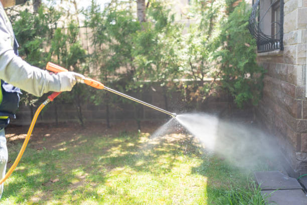 Best Pest Control Near Me in Santa Clara, NM