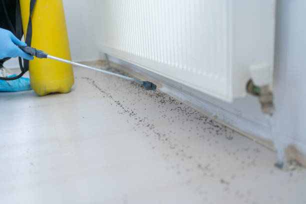 Best Pest Removal Services  in Santa Clara, NM